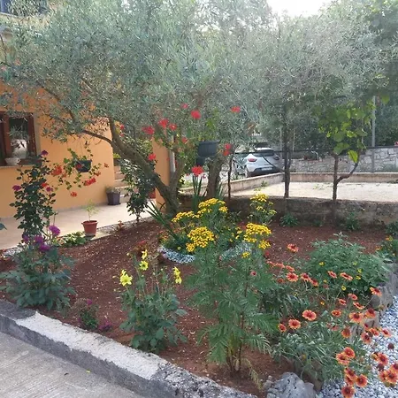 Apartman Petar In Begi