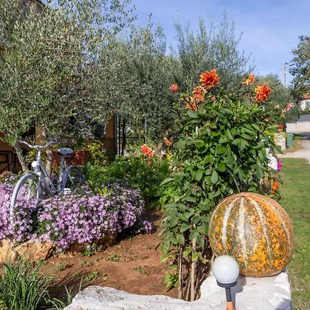 Apartman Petar In Begi *